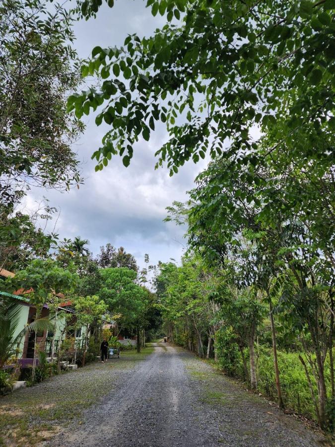 Suankafae Resort สวนกาแฟรีสอร์ท Surat Thani Exterior foto